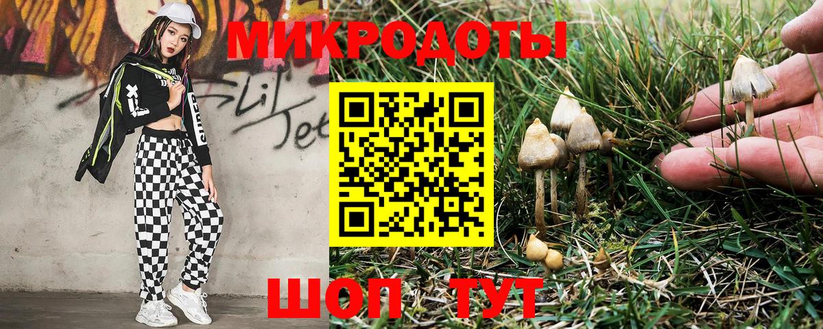 Галлюциногенные грибы мухоморы  Вход с VPN  Красноуфимск 